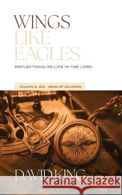 Wings Like Eagles Vol. 2: Vol. 2: Reflections on Life in the Lord - Volume 2 David King 9781955285537 Spiritbuilding.com