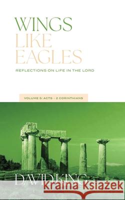 Wings Like Eagles: Reflections on Life in the Lord Vol. 5: Acts-Galatians David King 9781955285803
