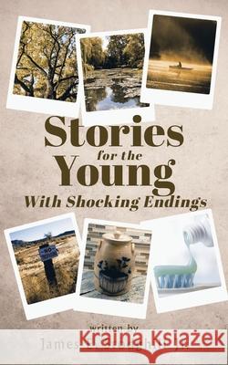 Stories for the Young: With Shocking Endings James E. Stodghill 9781955885058