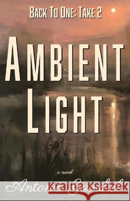 Back to One: Ambient Light Antonia Gavrihel   9781955893114
