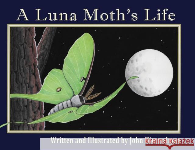 A Luna Moth's Life John Himmelman, John Himmelman 9781956381184