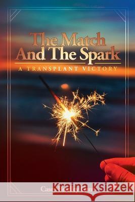 The Match And The Spark Casey Bradley Gent   9781956450477 Armin Lear Press