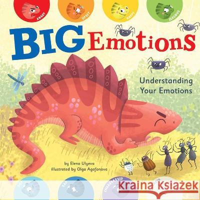 Big Emotions Elena Ulyeva Olga Agafonova Clever Publishing 9781956560039 Clever Publishing