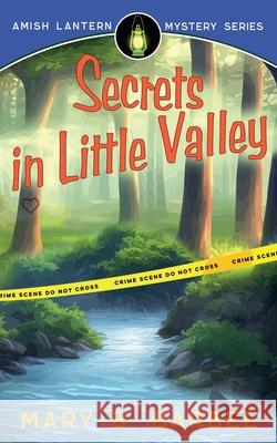 Secrets in Little Valley Mary B. Barbee 9781956756340