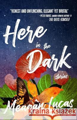 Here in the Dark: Stories Meagan Lucas   9781956957204 Shotgun Honey Books