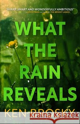 What the Rain Reveals Ken Brosky 9781956957884 Shotgun Honey Books