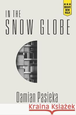 In the Snow Globe Damian Pasieka   9781957010274