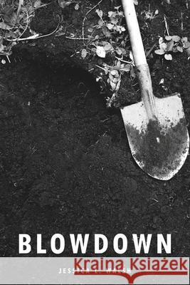 Blowdown Jessica L. Walsh 9781957248646