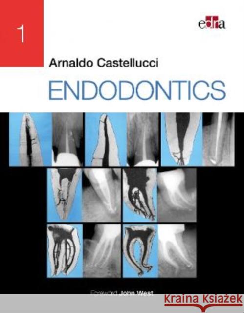 ENDODONTICS - 2 Volume Set Arnaldo  Castellucci   9781957260051