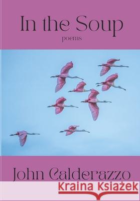 In The Soup John Calderazzo 9781957483368 Middle Creek Publishing & Audio