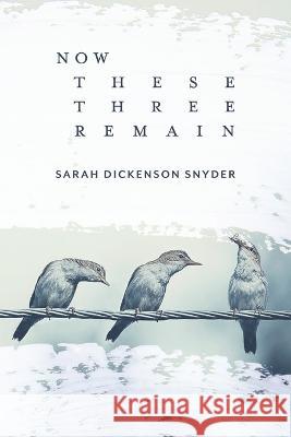 Now These Three Remain Sarah Dickenso Eileen Cleary Michael McGinnis 9781957755090 Lily Poetry Review