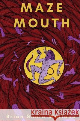 Maze Mouth Brian Sonia-Wallace   9781957799094