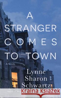 A Stranger Comes to Town Lynne Sharon Schwartz 9781958094631