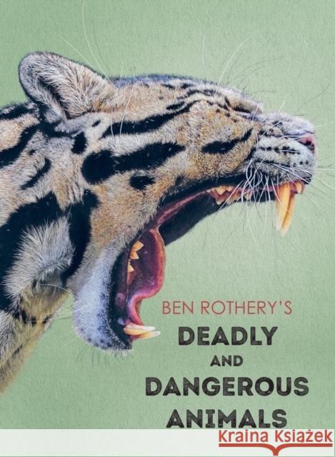 Ben Rothery's Deadly and Dangerous Animals  9781958394250 Tilbury House Publishers