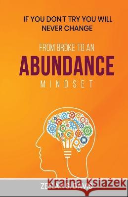 From Broke to an Abundance Mindset: If You Don't Try You Will Never Change Zeelah S Davis   9781958404560 Hcp Book Publishing