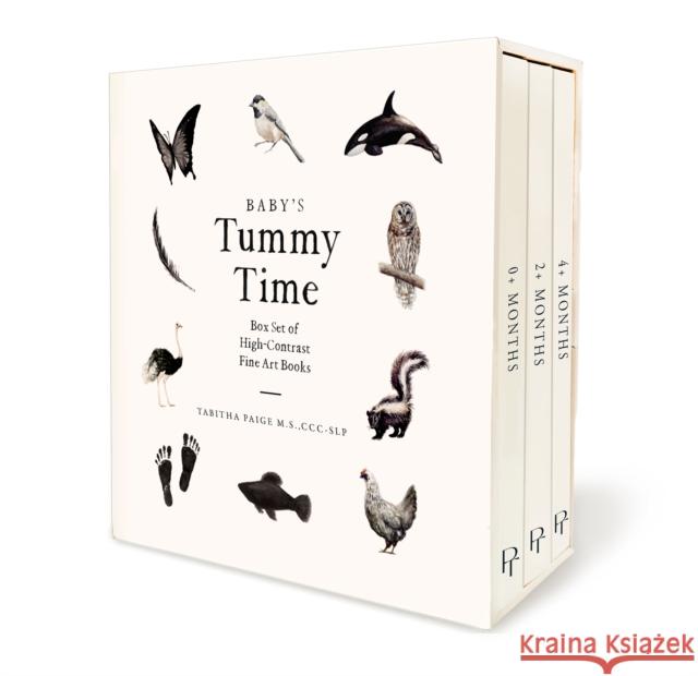 Baby's Tummy Time Book Box Set: A 3-Book Box Set of High-Contrast Art for Visual Stimulation at Tummy Time Tabitha Paige Paige Tate & Co 9781958803899