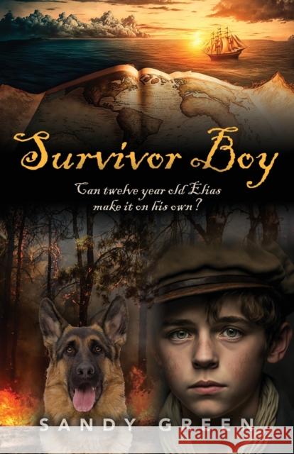 Survivor Boy Sandy Green 9781958878668