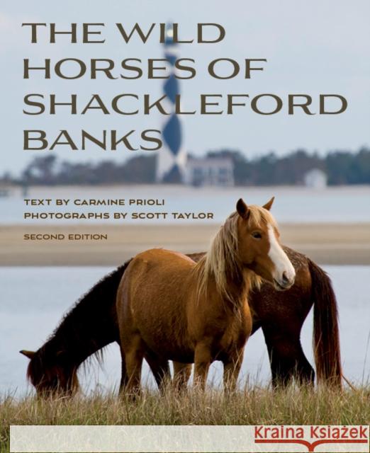 Wild Horses of Shackleford Banks Scott Taylor 9781958888254 Blair