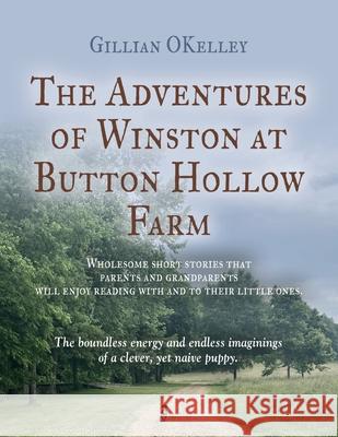 The Adventures of Winston at Button Hollow Farm Gillian Okelley 9781958892930 Booklocker.com