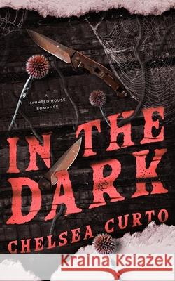 In The Dark Chelsea Curto 9781958983195