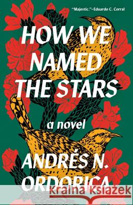 How We Named the Stars Andr?s N. Ordorica 9781959030331 Tin House Books