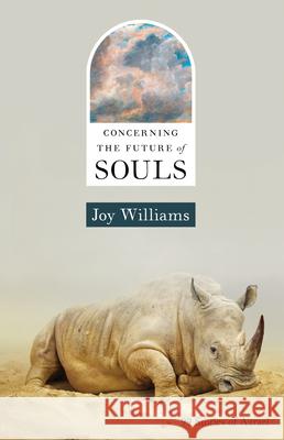 Concerning the Future of Souls Joy Williams 9781959030591 Tin House Books