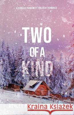 Two of a Kind: A forced proximity sapphic holiday romance Ashley Pines Eden Emory 9781959187059