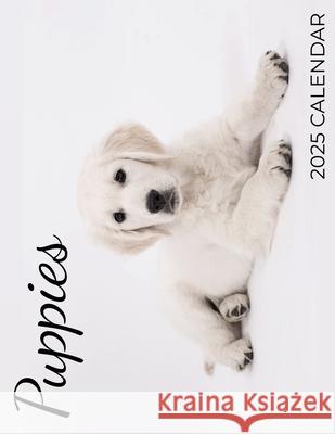 Puppies 2025 Calendar: 2025 Calendar C. Maloney 9781959209263 Baldega Books