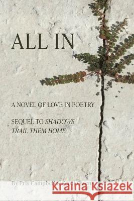 All In: A Novel of Love in Poetry Scott Owens Pris Campbell  9781959346128 Redhawk Publications