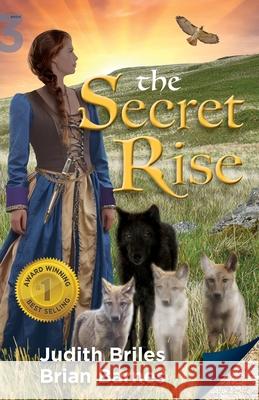 The Secret Rise Judith Briles Brian Barnes 9781959737902 Mile High Press