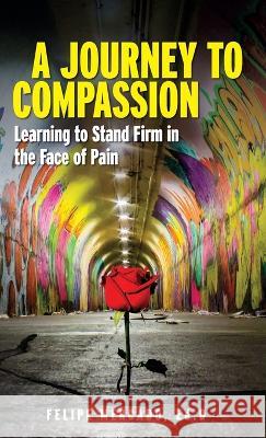 A Journey to Compassion: Learning to Stand Firm in the Face of Pain Felipe Mercado 9781959989011 Fig Factor Media Publishing