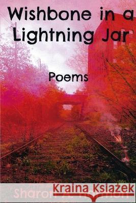 Wishbone in a Lightning Jar: Poems Paul Gilliland Sharon a Harmon  9781960038043 Southern Arizona Press