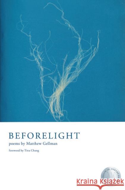 Beforelight Matthew Gellman 9781960145109