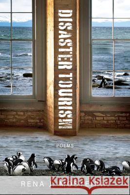 Disaster Tourism Rena J. Mosteirin 9781960145796 BOA Editions