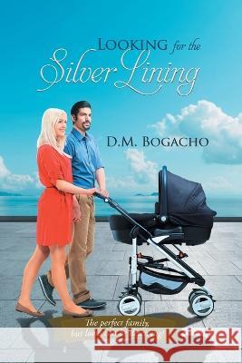 Looking for the Silver Lining D M Bogacho   9781960197276 Quantum Discovery