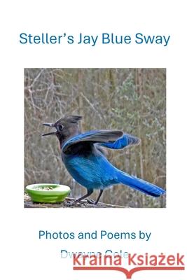 Steller's Jay Blue Sway: Photos and Poems Dwayne Cole 9781960326942 Parson's Porch