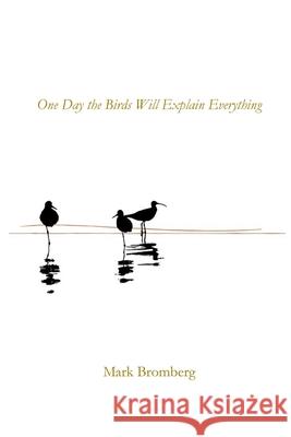 One Day the Birds Will Explain Everything Mark Bromberg 9781960326980