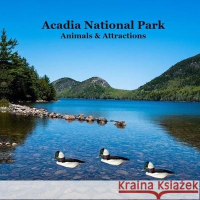 Acadia National Park Animals and Attractions Kids Book: Great Way for Kids to See the Animals and Attractions in Acadia National Park Kinsey Marie Billy Grinslott 9781960612915 Acadia National Park Animals and Attractions