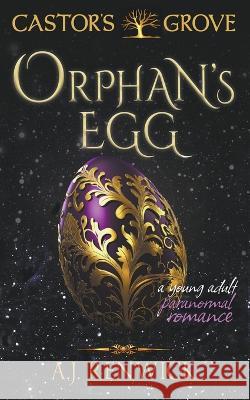 Orphan's Egg (A Castor's Grove Young Adult Paranormal Romance) A J Renwick   9781960936158 Plotworks Publishing