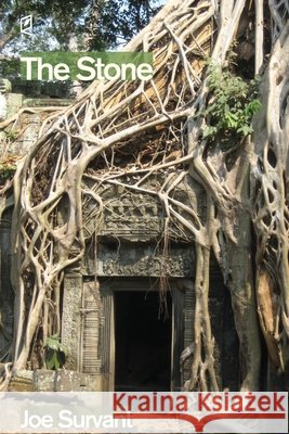 The Stone Joe Survant 9781961127227