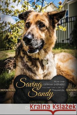 Saving Sandy Diana B Mahoney   9781961186033 AMZ Pro Hub