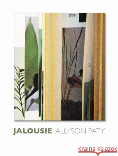 Jalousie Allyson Paty 9781961209213 Tupelo Press, Incorporated