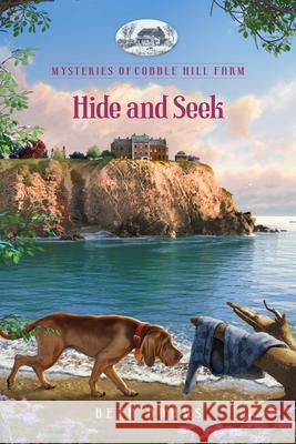 Hide and Seek Beth Adams 9781961251434