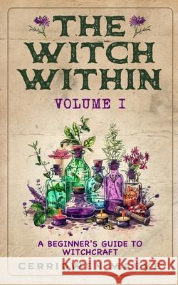 The Witch Within, Volume I: A Beginner's Guide to Witchcraft Cerridwen Maeve 9781961477261 LM Taylor Publishing