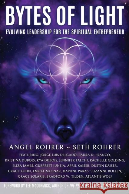 Bytes of Light: Evolving Leadership for the Spiritual Entrepreneur Angel Rohrer Seth Rohrer  9781961493070 Brave Healer Productions