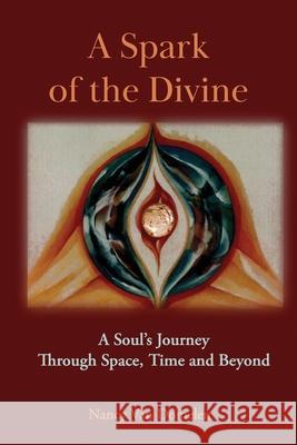 A Spark of the Divine: A Soul's Journey Through Time, Space and Beyond Nancy Va 9781961993419