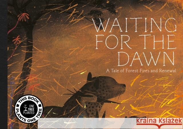 Waiting For The Dawn Fabiola Anchorena 9781962098014 Tra Publishing