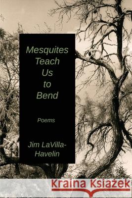 Mesquites Teach Us to Bend Jim Lavilla-Havelin 9781962148191 Lamar University Press