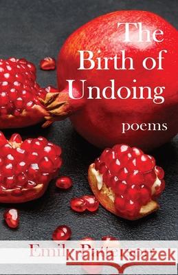 The Birth of Undoing Emily Patterson 9781962405300