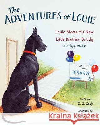 The Adventures of Louie: Louie Meets His New Little Brother, Buddy G. S. Craft Emily Land 9781962561891 Skippy Creek
